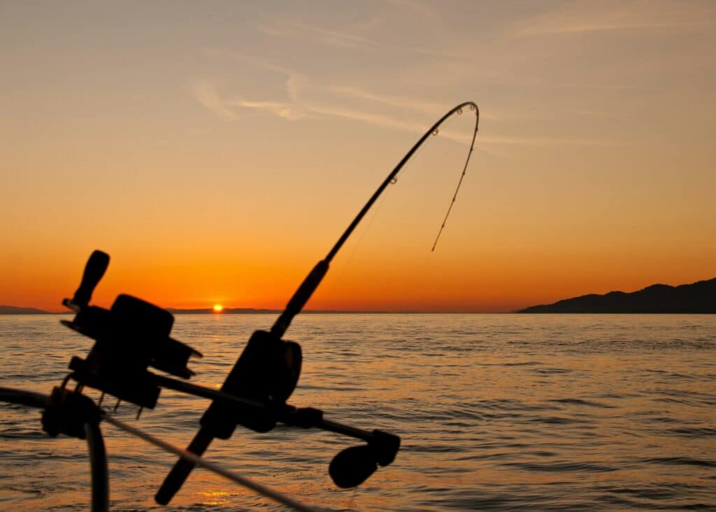 Mobile Fishing Game