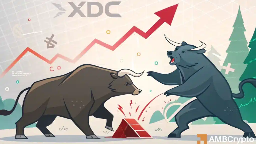 xdc network