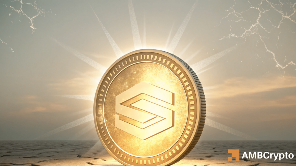 28K SOL whale buy fuels Solana’s rally — But can bulls outrun THIS risk?