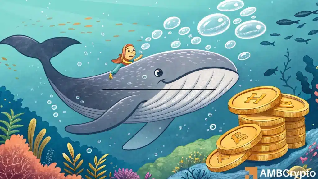 Hyperliquid Whale Scoop Up $3.9mln Worth of Tokens: Any Impact on Hype?