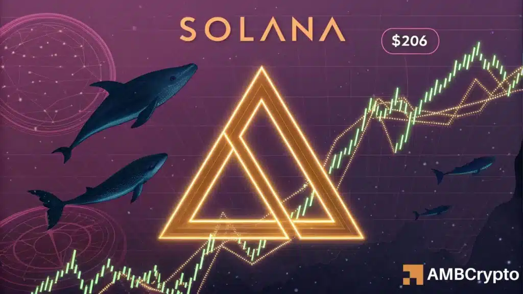 Solana builds momentum from key support: Is $206 within reach?