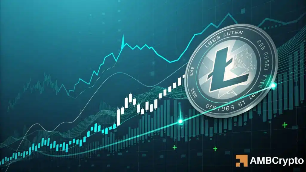 Will Litecoin recover? Traders seem confident despite recent dip