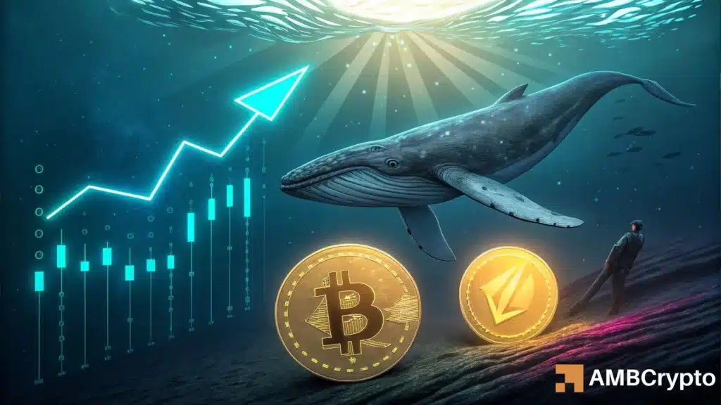 From Bitcoin to Ethereum: How one whale’s $2.6B gamble shook the market