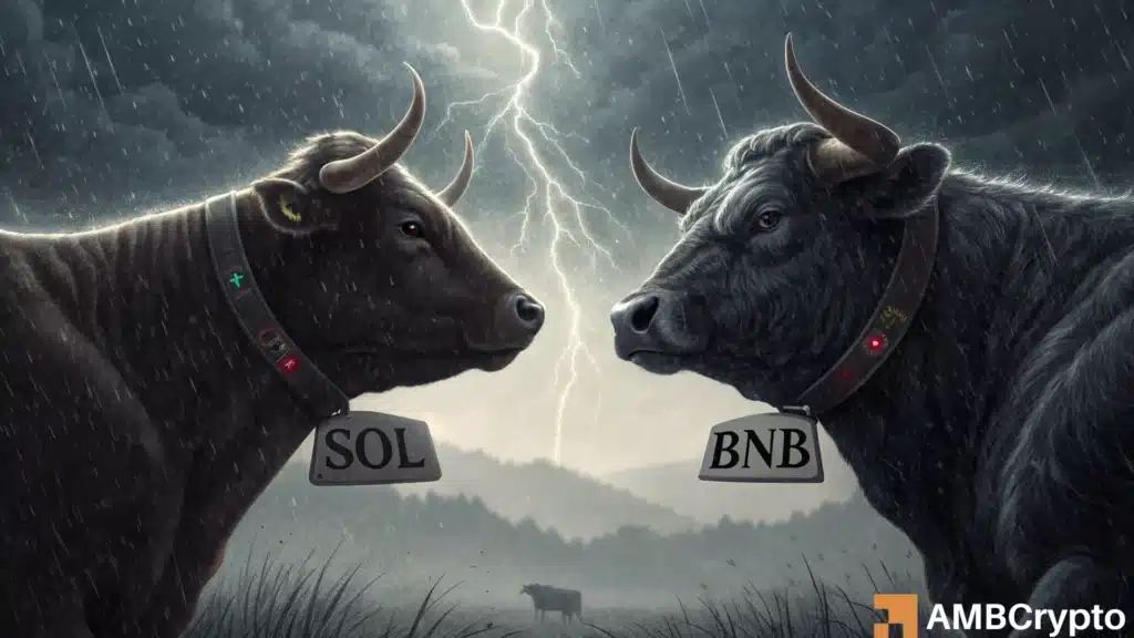 Solana looks to flip BNB in Q4, but Binance won't give up easily