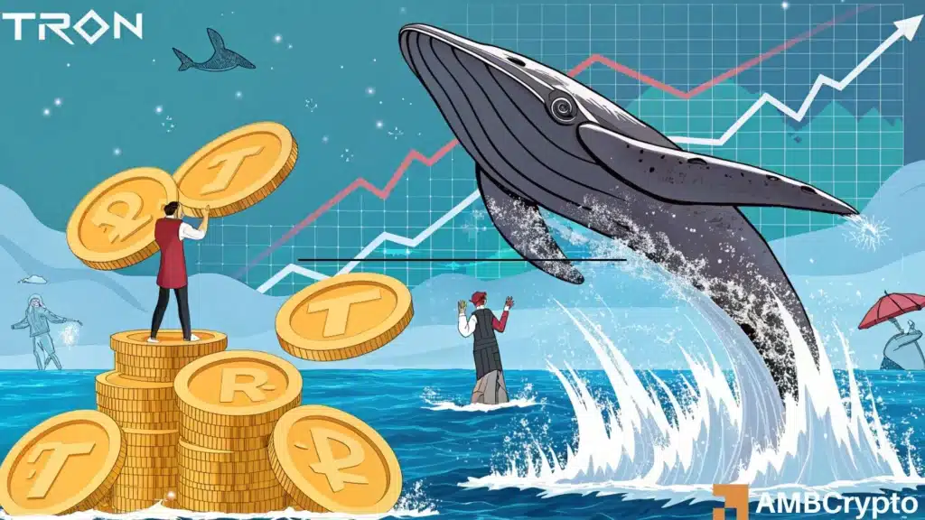 What TRON’s whale accumulation really means for TRX's $0.36 comeback