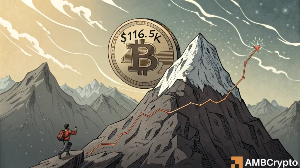 Bitcoin’s smartest holders aren’t selling - What happens if $116.5K cracks?