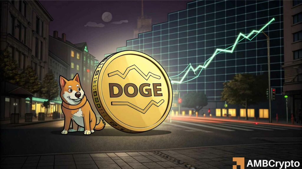 Whales accumulate Dogecoin (DOGE), But traders eye 17% price crash