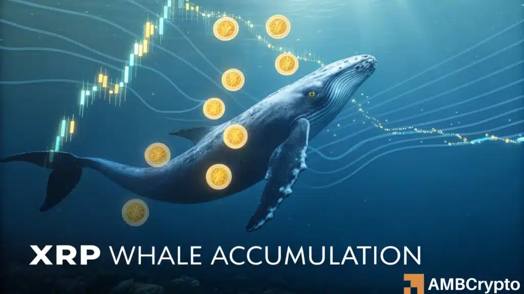 Whales scoop $962 mln XRP in 2 weeks: Is $4 closer than you think?