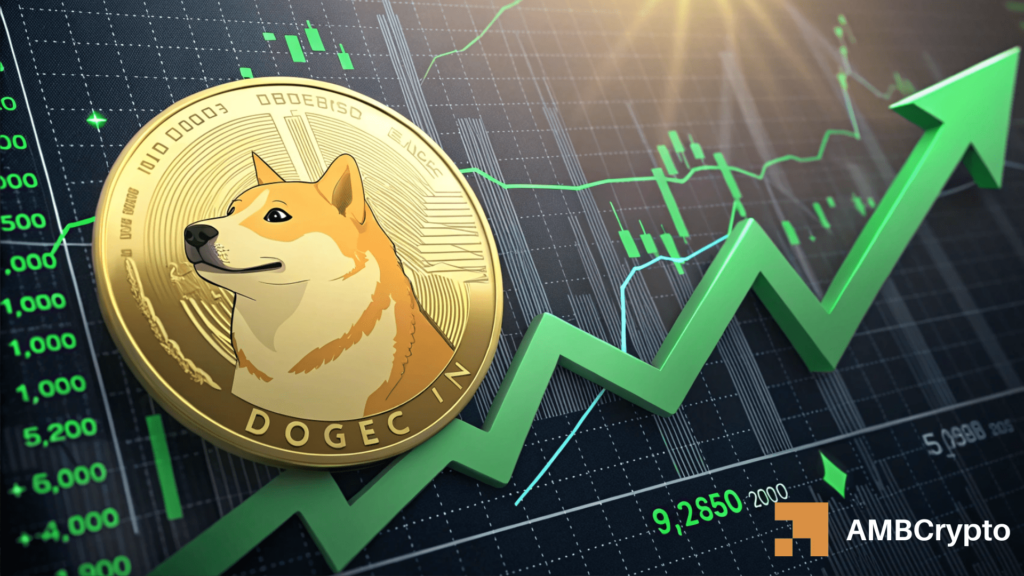 Dogecoin: Why this cycle can have DOGE’s most sustainable rally yet