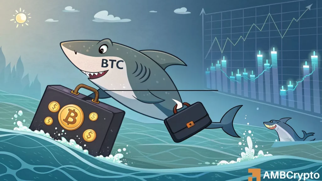 2 factors are behind Bitcoin’s $111K recovery, but is it a bull trap?