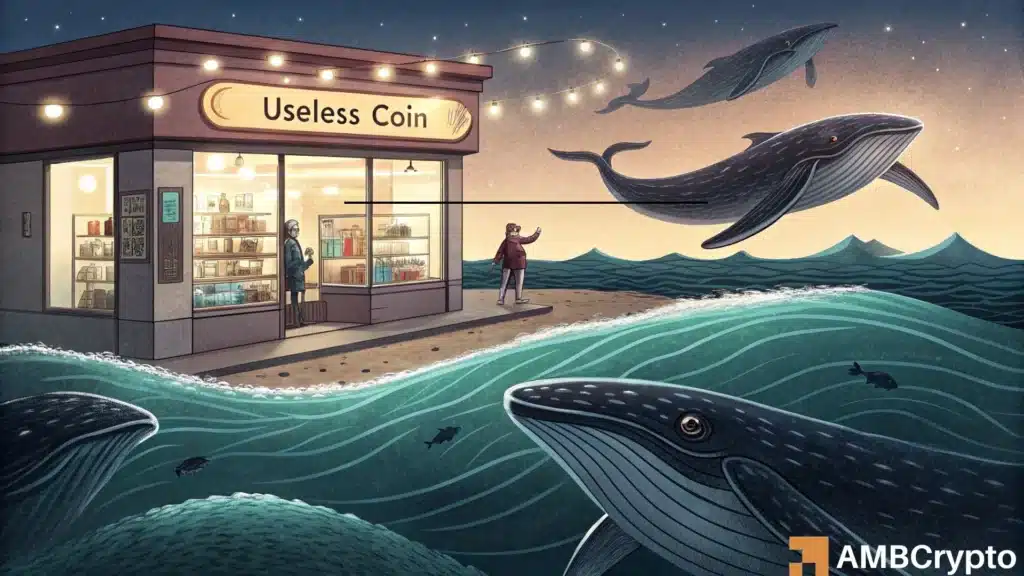Useless Coin Surges 13% Backed by Strong Demand-Why Traders are Betting Against It?