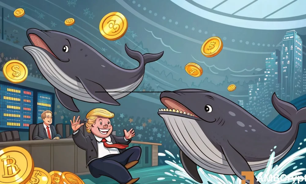 Whales bet big on TRUMP, but retail dumps fast: Who wins this round? Whales bet big on TRUMP, but retail dumps fast: Who wins this round?
