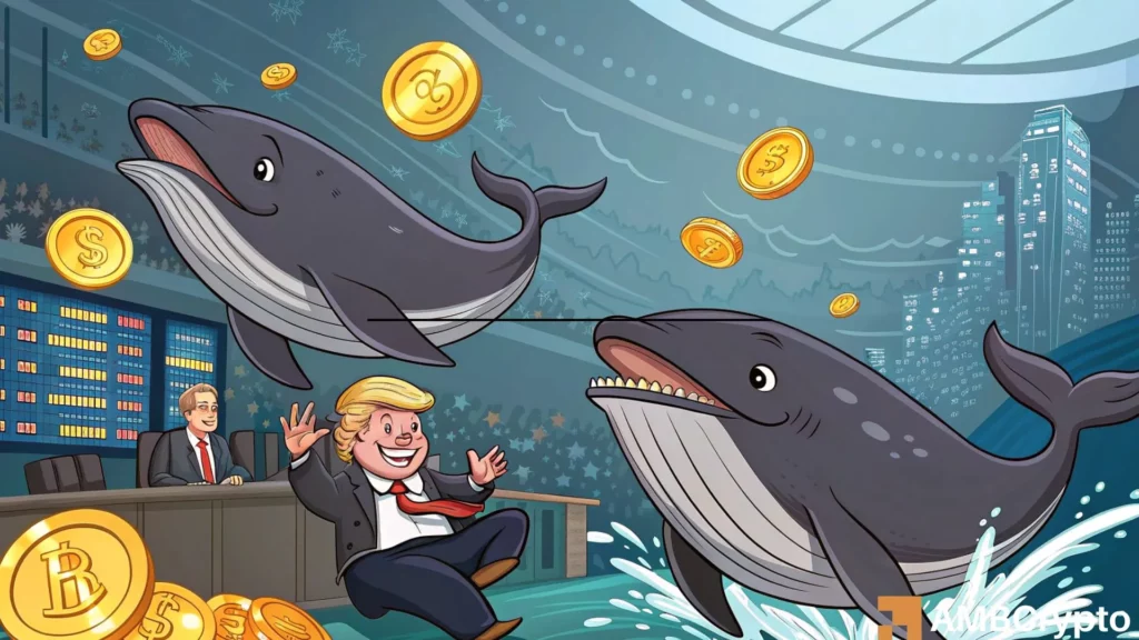 How TRUMP whales and retail traders are pulling the market apart
