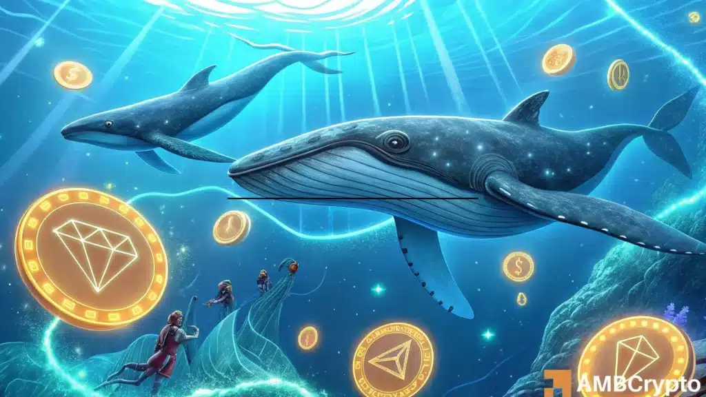 Whale Activity on Tron Soars to 98% Reaching a 2-year High: Impact on TRX?
