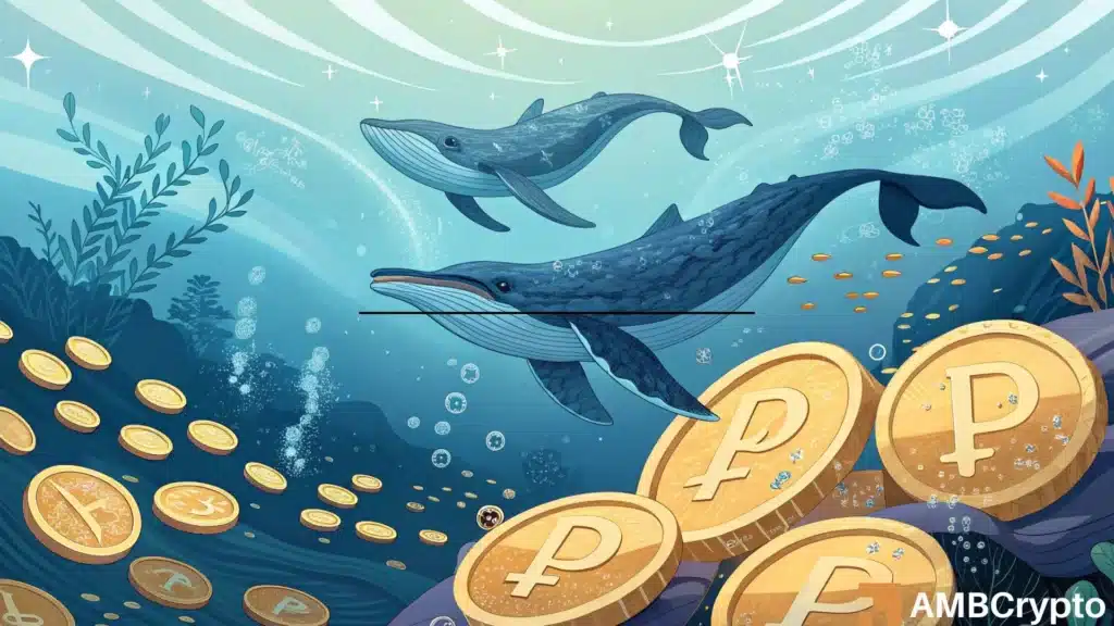 PUMP’s market tug-of-war: Bulls load up, bears cash out