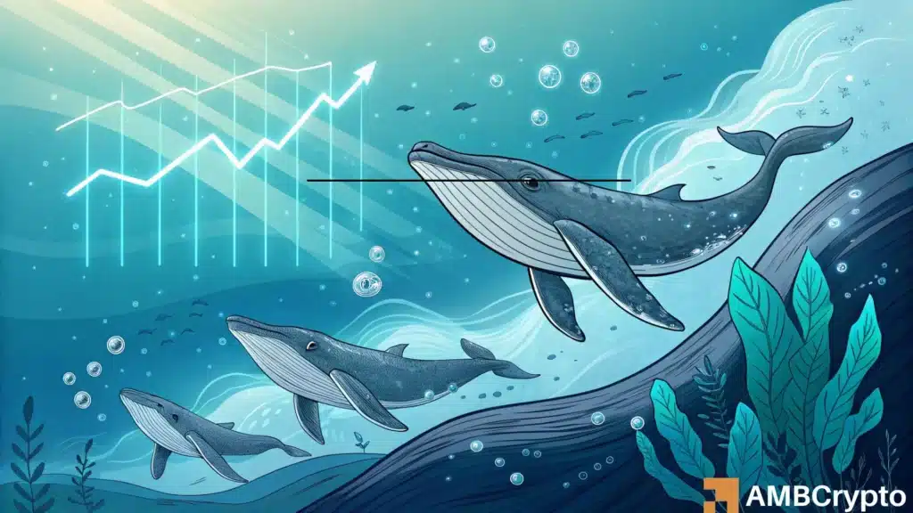 Plasma Hits an ATH Amid Strong Whale Backing -Can XPL Momentum Hold?