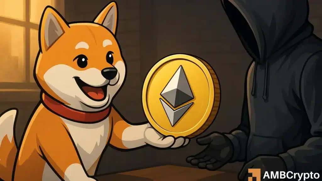 K9 Finance offers $23K bounty