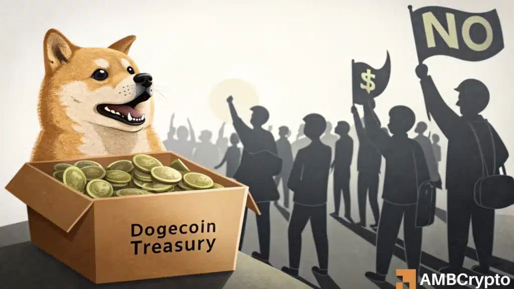 Elon Musk's lawyer part of $175 mln Dogecoin treasury - But it's not helping DOGE