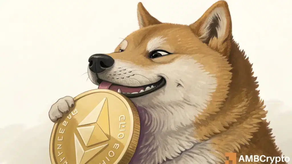 Dogecoin's 35% ROI vs. Ethereum’s 6% – What it means for you