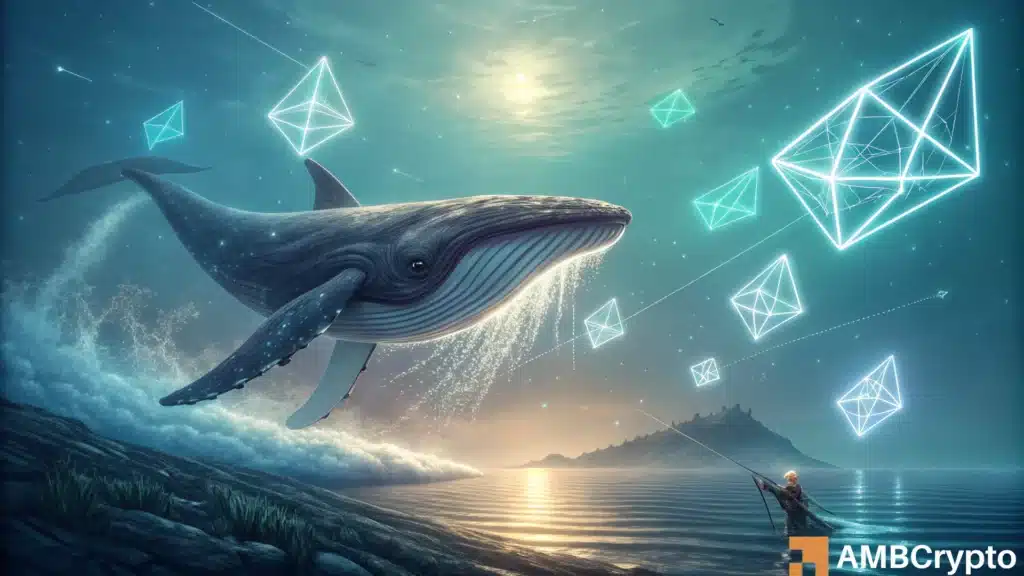 Bitcoin Whale