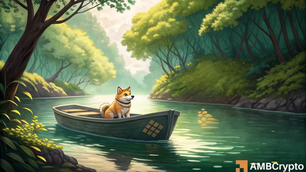 Shiba Inu Reserves Surge on Binance: What Does This Mean for SHIB's Price Trend?
