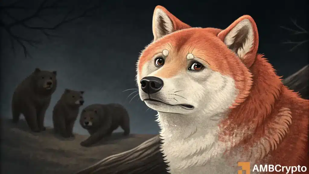 Shiba Inu price prediction - All about THIS risky buying opportunity for traders!