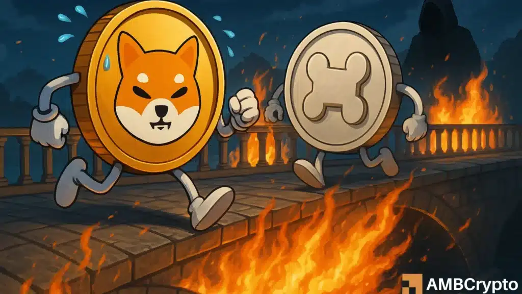 'We are aware...': Shiba Inu team responds after $2.4 mln Shibarium bridge attack