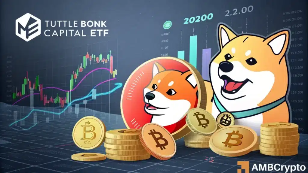 BONK, Litecoin, SUI see 'colorful crypto income ETF' filings - Impact on price?