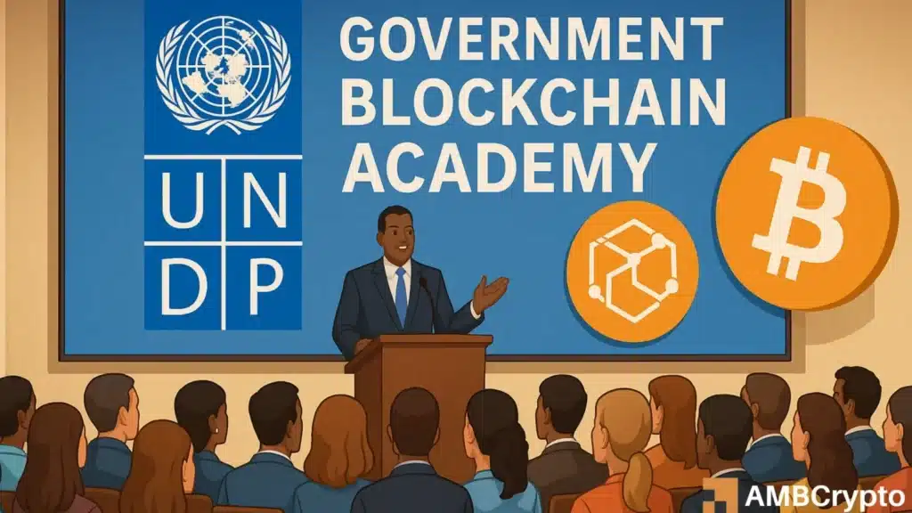 UNDP sets the stage for governments to master blockchain tech - But why?