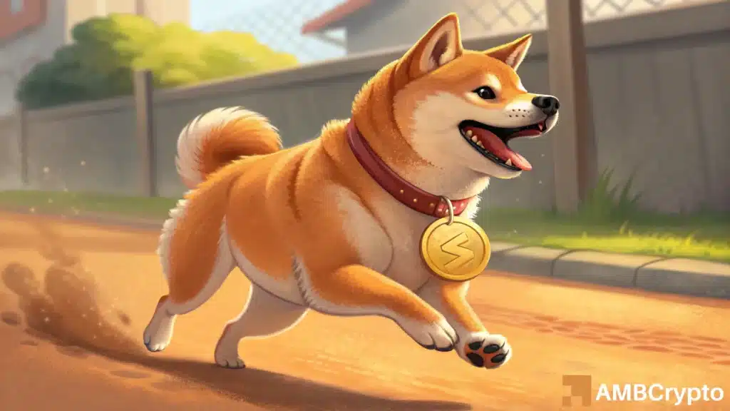 Memecoin meltdown hits Shiba Inu! THIS range can decide SHIB's comeback