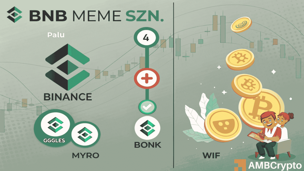 "BNB meme szn" explodes as traders rake in profits - Will the rally last?