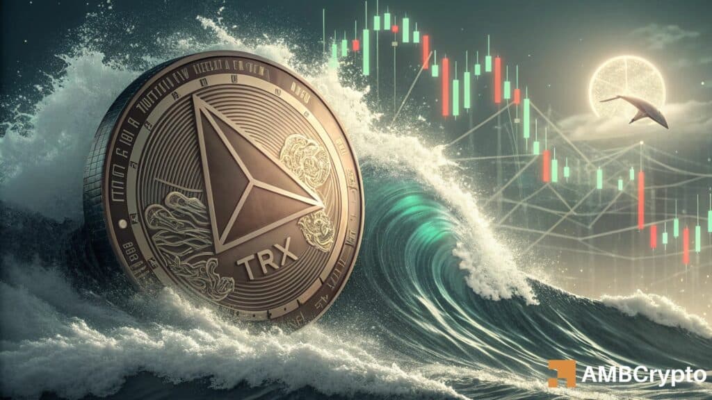 TRX whale activity returns after months — Is a bullish breakout now imminent?