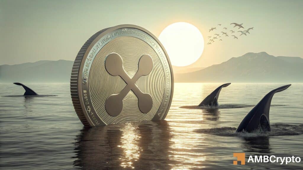 XRP whale wallets hit record high: Can accumulation ignite a market recovery?