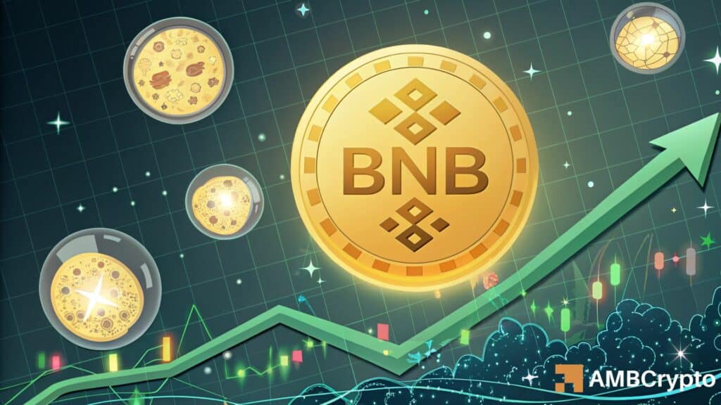 Binance Coin [BNB]