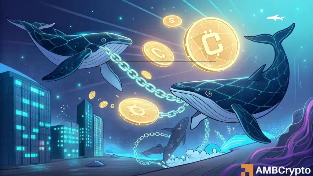 Can whales flip Chainlink's future after LINK's 16% decline?