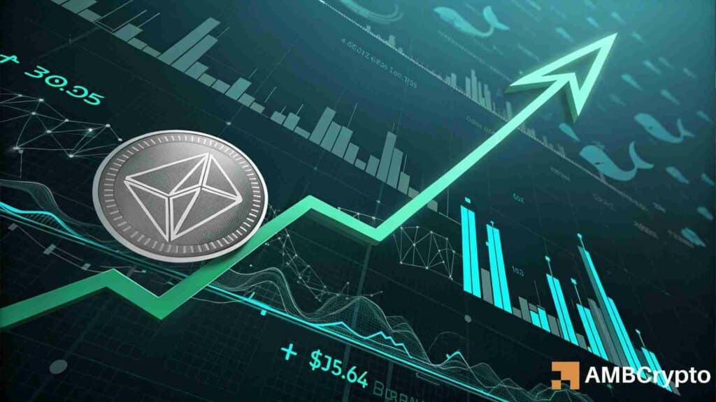 TAO Jumps 8% to Test $345 Resistance as Whale Buying Meets Cooling Market Activity