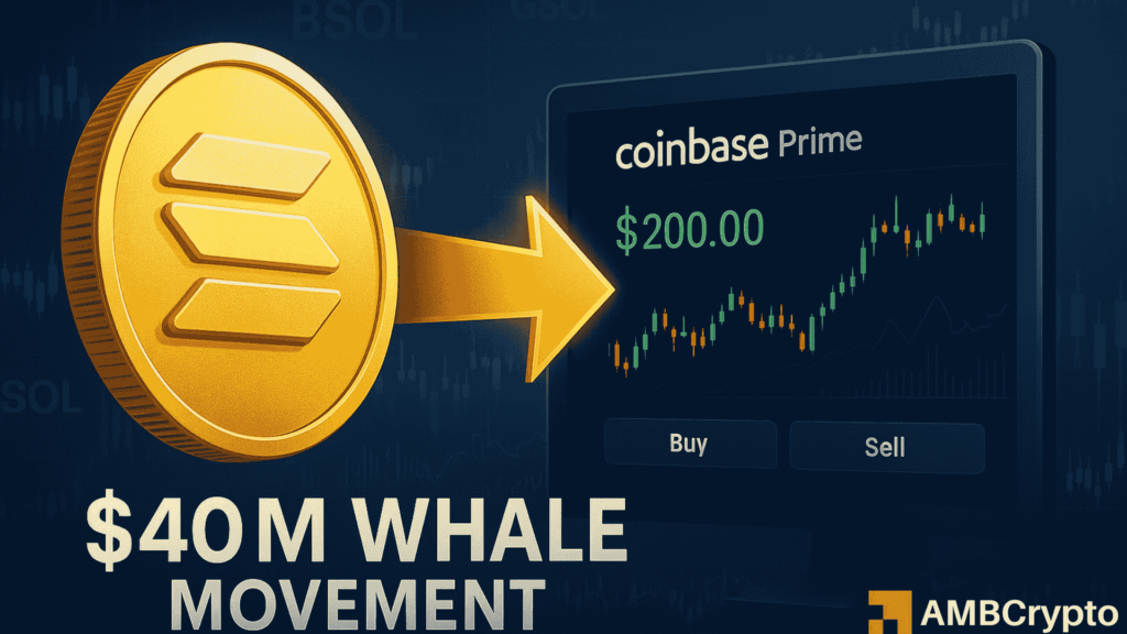 Solana whale moves $40M for first time in 5 years: Profit taking or liquidity supply?