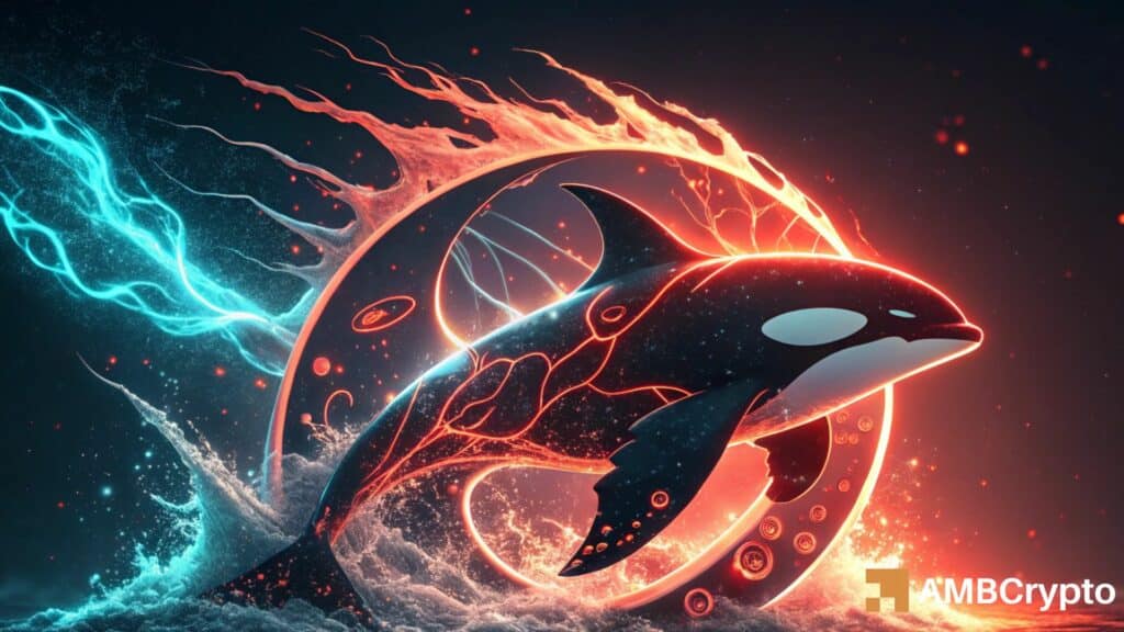 Orca price drops 25% but can rising liquidity trigger a bullish reversal?