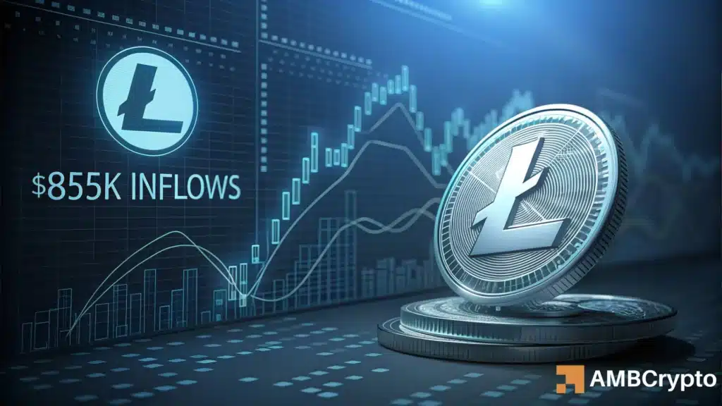 Litecoin Attracts Fresh ETF Inflows as Trading Activity Outpaces Zcash