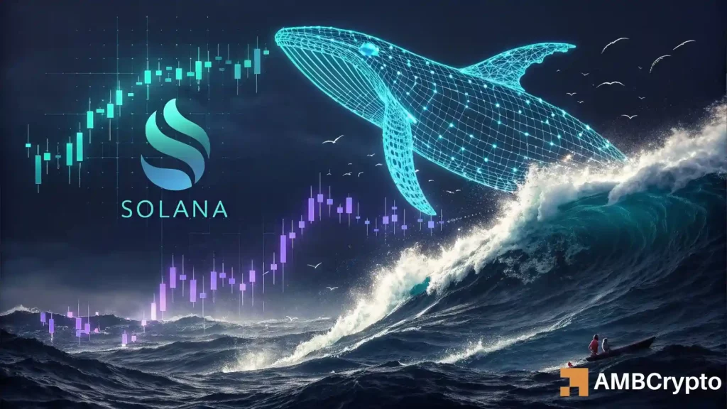 Solana faces heavy selling as whales flip bearish - What's next?