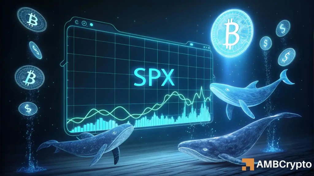 SPX Surges 17% as whales Return