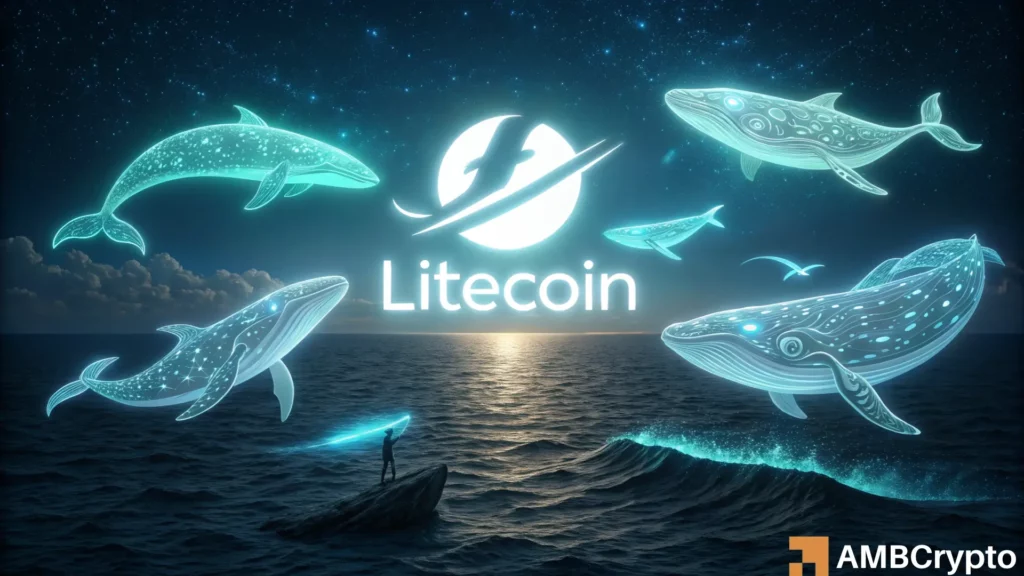 Litecoin's price reclaims $100 after on-chain volume hits record highs - Details!