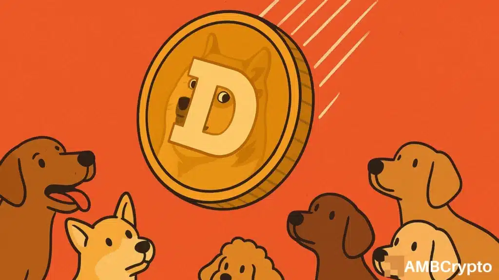 Dogecoin at a critical level as bubble risk and accumulation collide