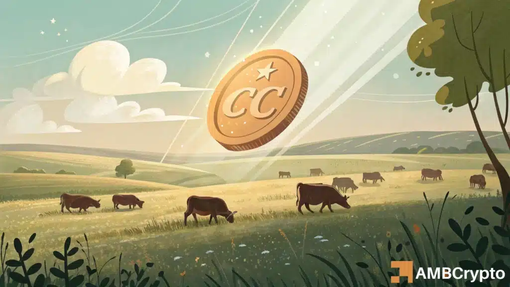 CC price jumps 14%, but Binance traders bet on a short-term pullback