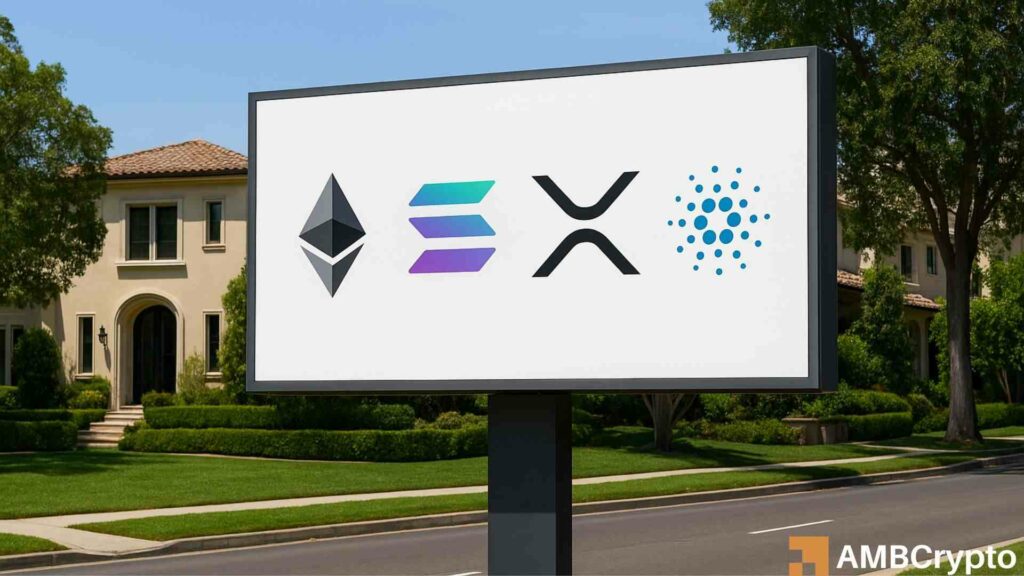 CryptoQuant CEO: 'Altcoin liquidity is drying up' - THIS is the only chance of survival