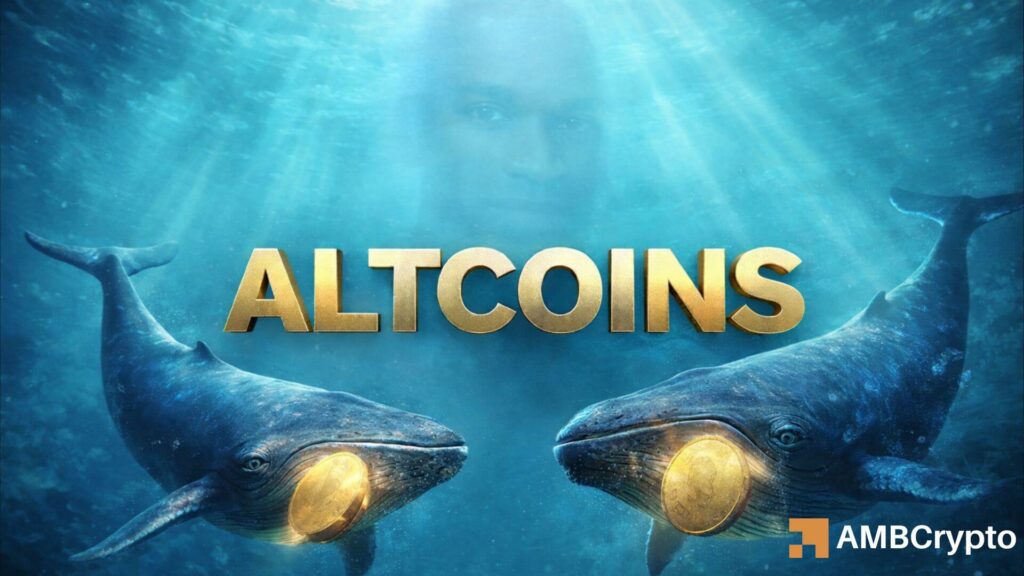 Whales rotate out of ETH into DeFi altcoins – What are they betting on?