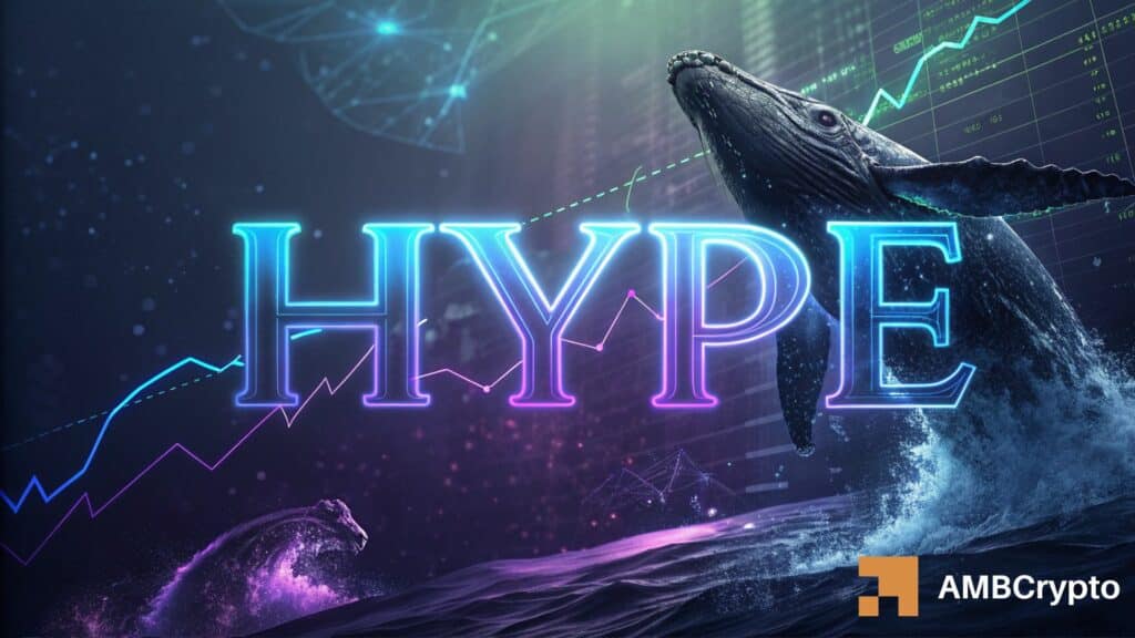 HYPE price dips inside a channel despite whale accumulation — What happens next?