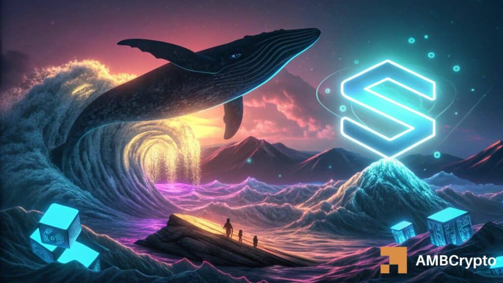 Solana builds strength as whales buy—Is a breakout finally coming?