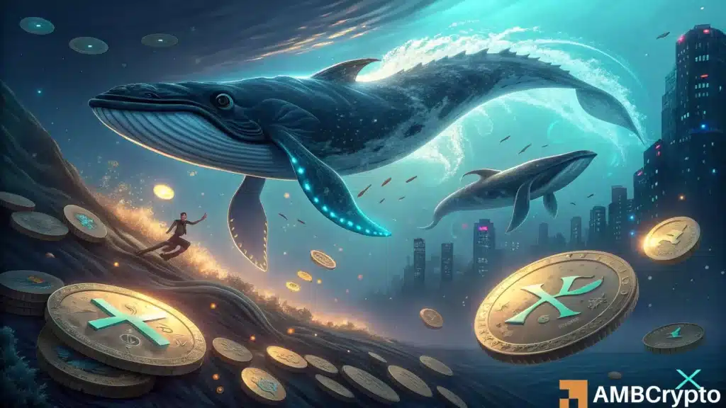 Ripple's XRP