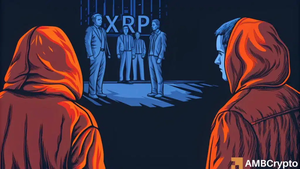 XRP's rich list